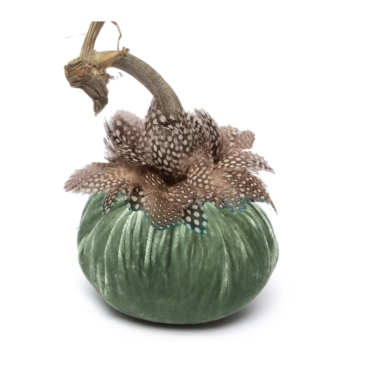 Hot Skwash Silk Velvet & Ringneck Collar Pumpkin, Sage