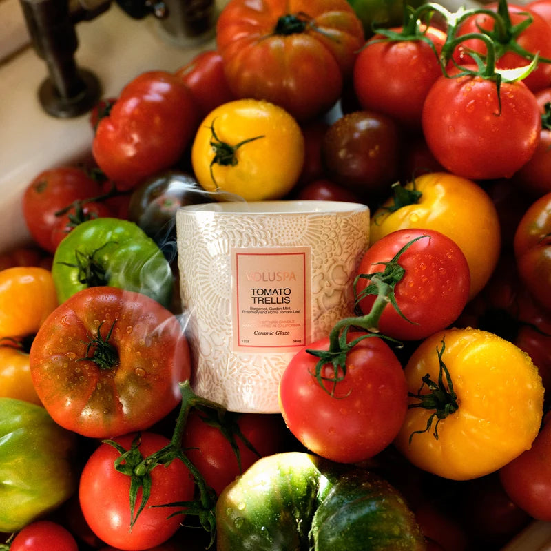 Voluspa Tomato Trellis Ceramic Luxe Classic Candle