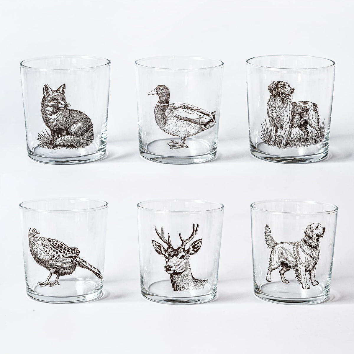 Vietri Wildlife Assorted Tumblers, Set of 6
