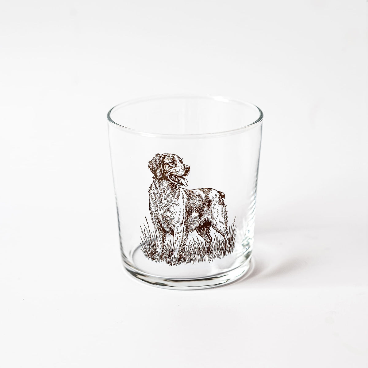 Vietri Wildlife Assorted Tumblers, Set of 6