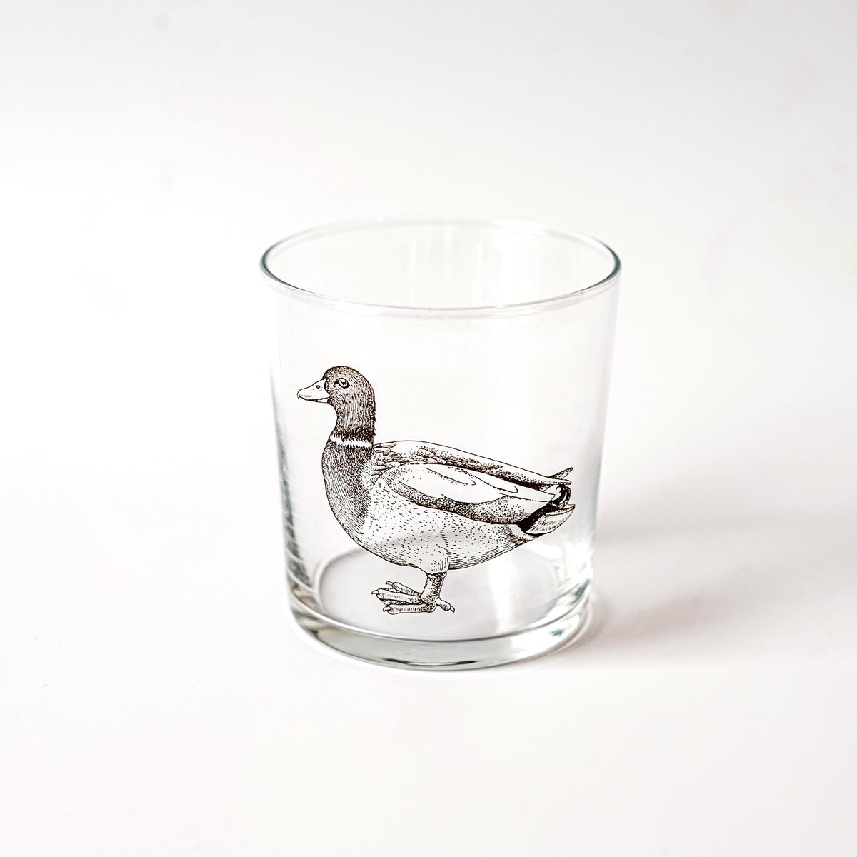 Vietri Wildlife Assorted Tumblers, Set of 6