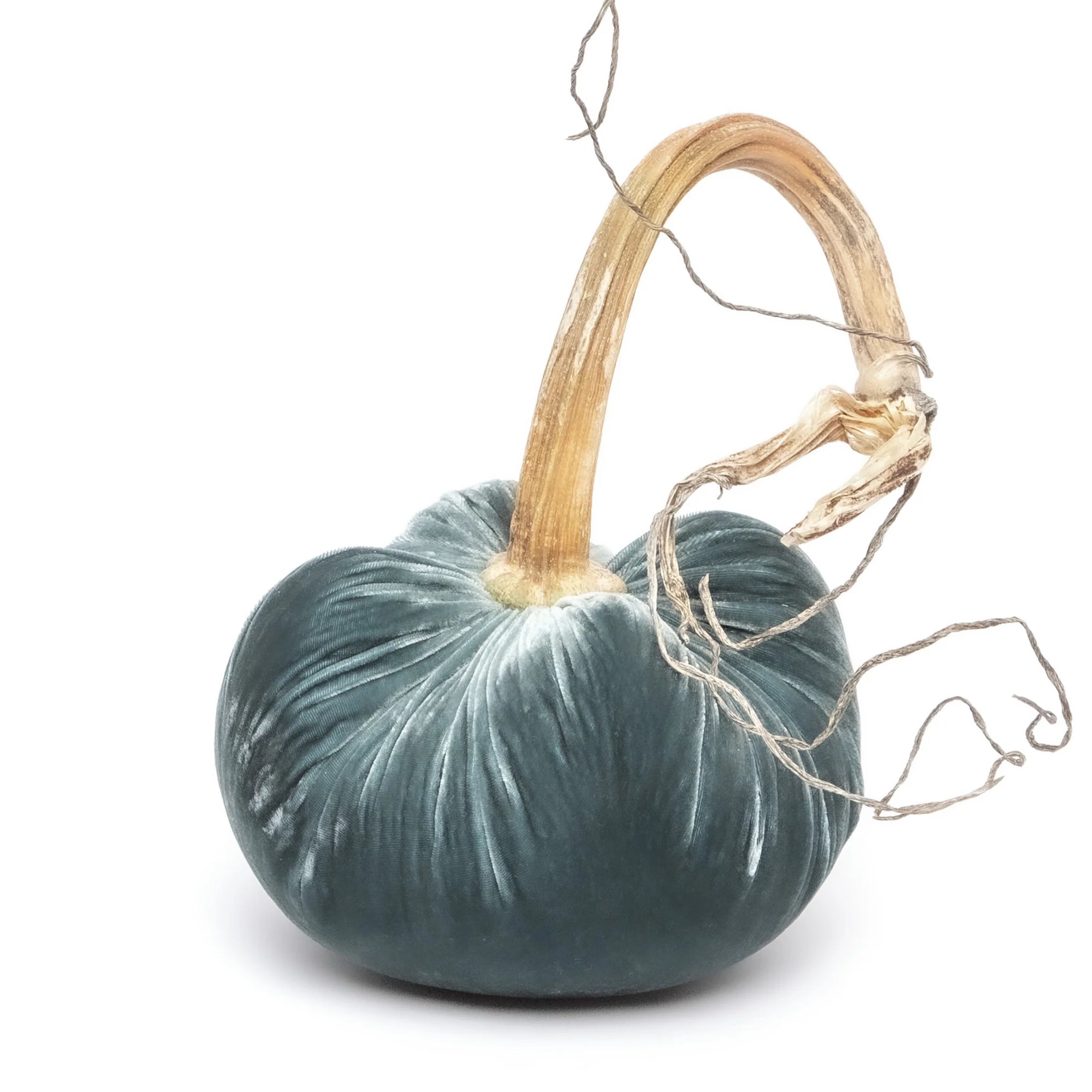 Hot Skwash Silk Velvet Pumpkin, Wedgwood, Multi Sizes