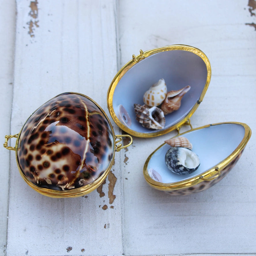 Tiger Cowrie Seashell Coin Purse