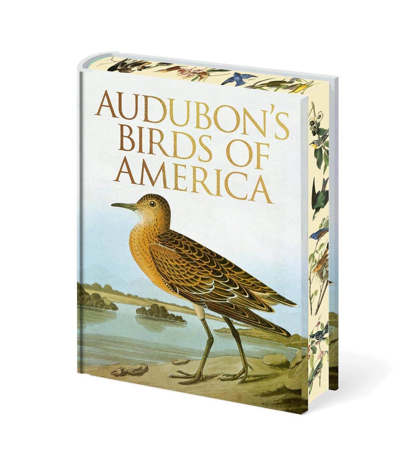 Audubon's Birds Of America