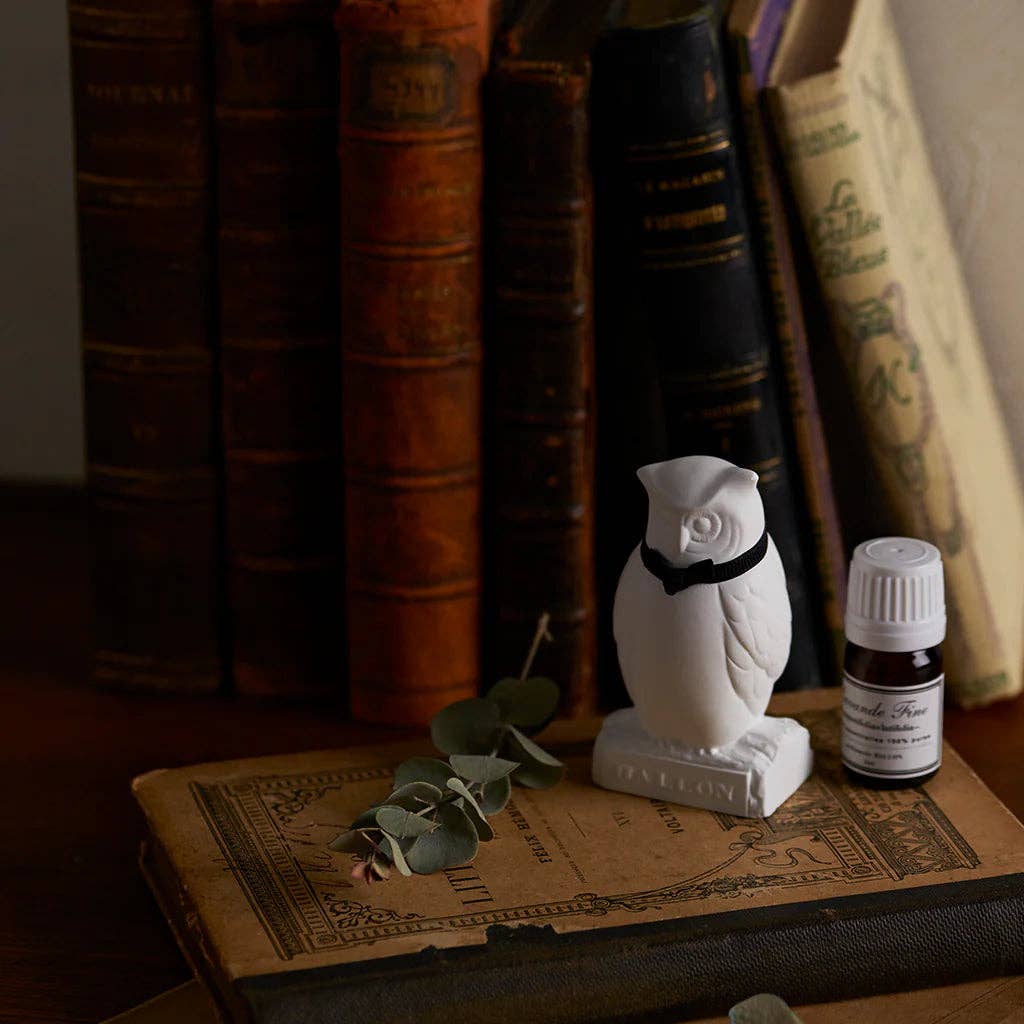 Ballon Oil Diffuser, Owl