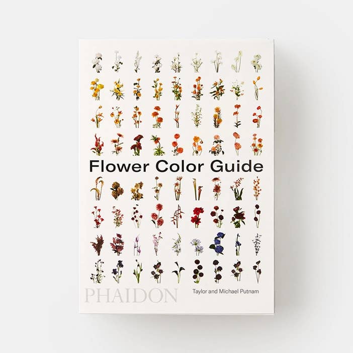 Flower Color Guide