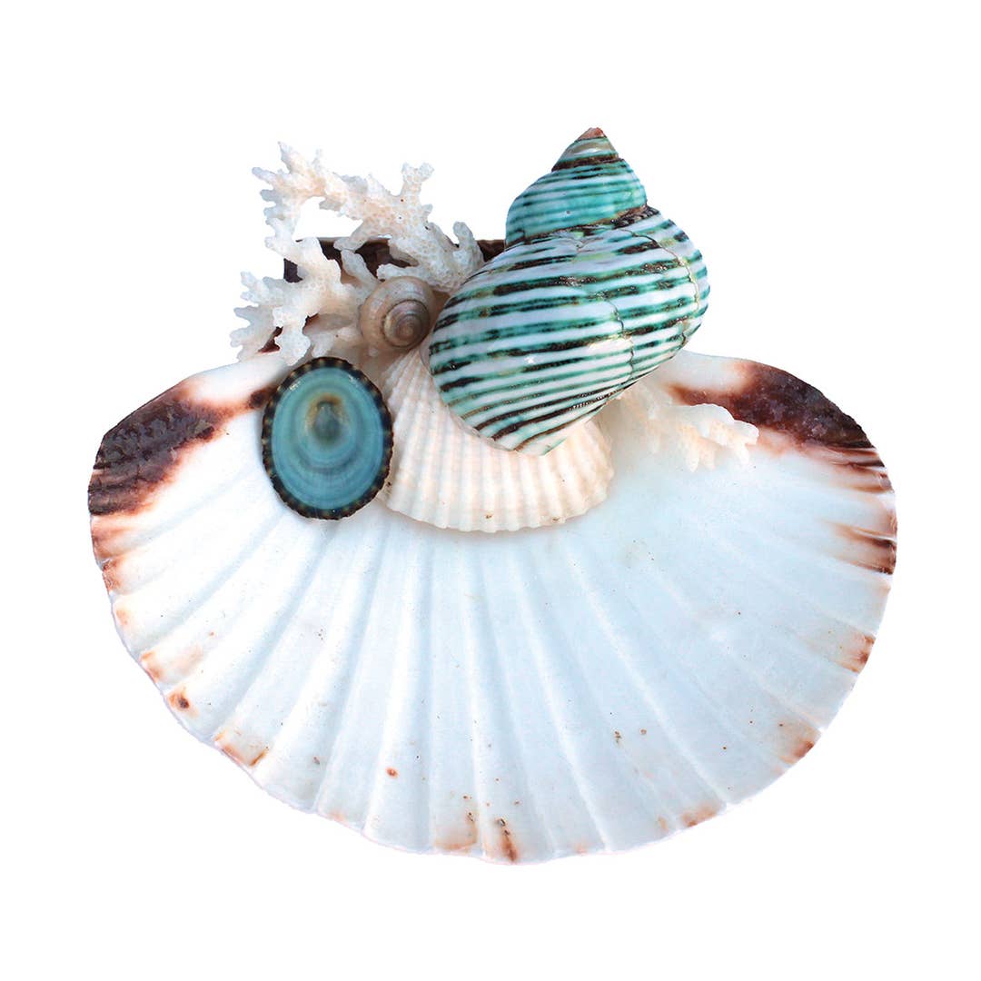 Cindy Scallop Ring Dish