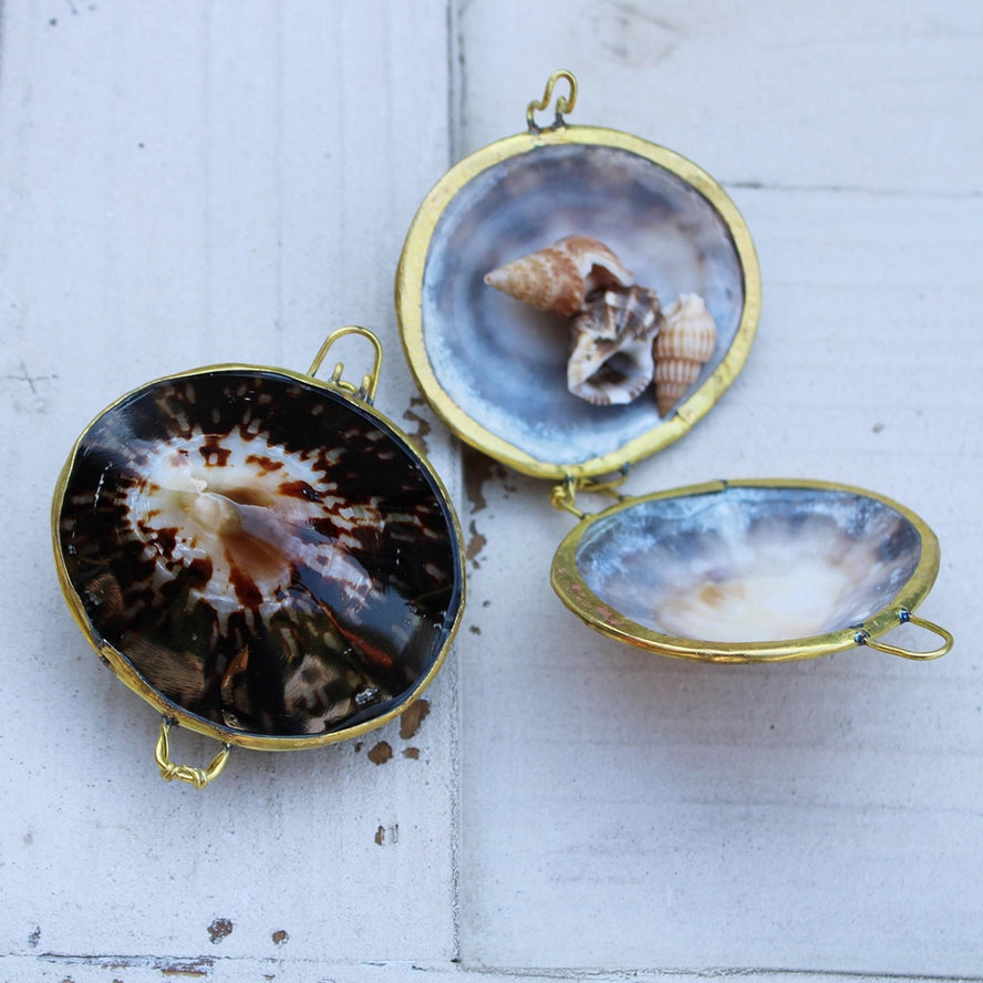 Limpet Seashell Coin Purse