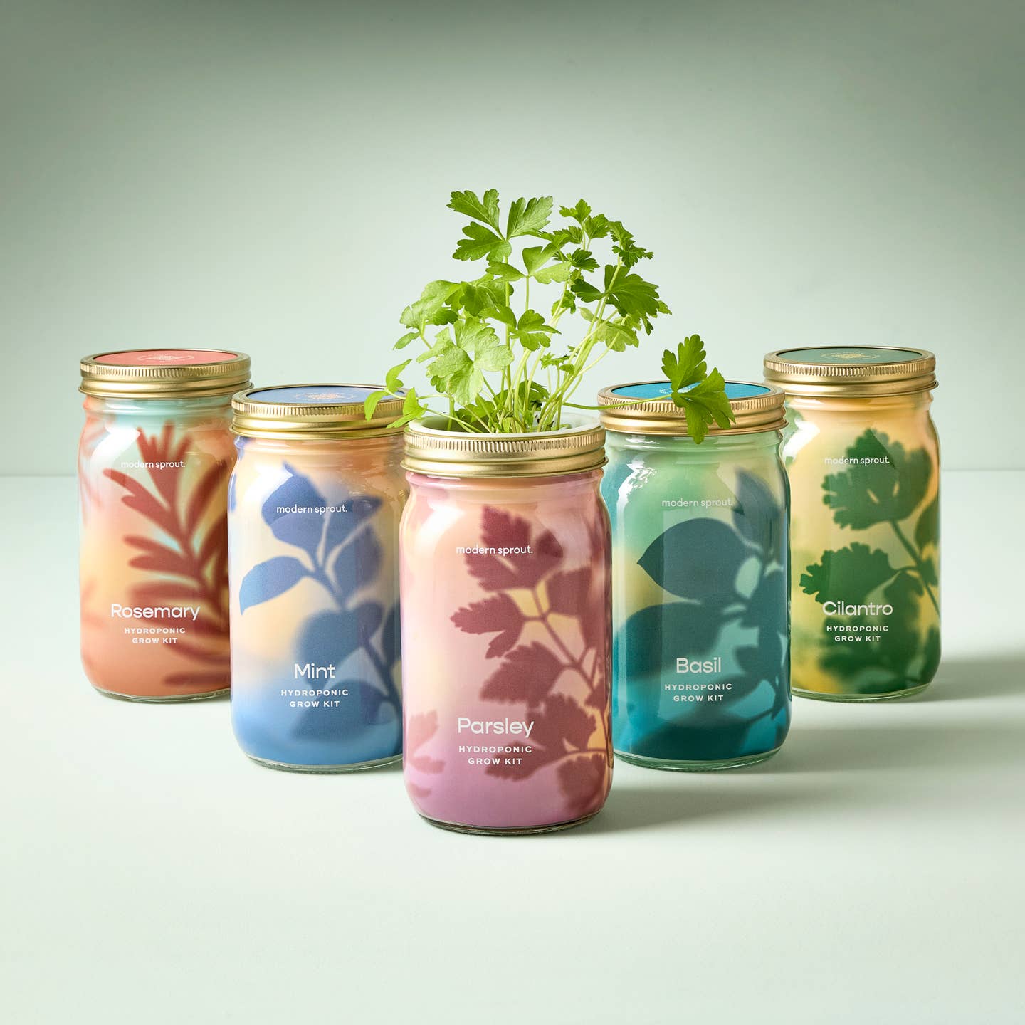 Herb Garden Jar, Basil