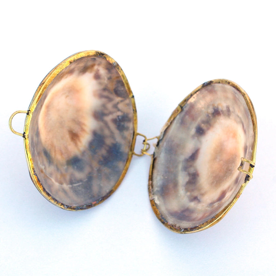 Limpet Seashell Coin Purse