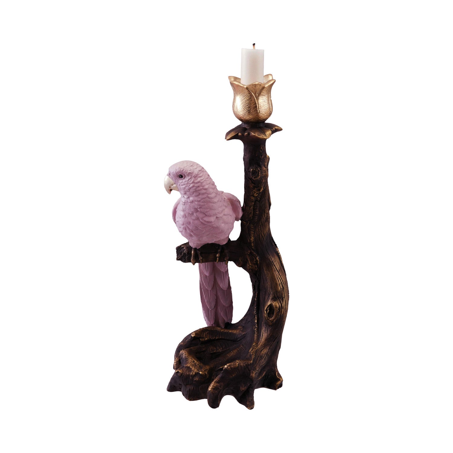 Galen Parrot Taper Holder, Tall