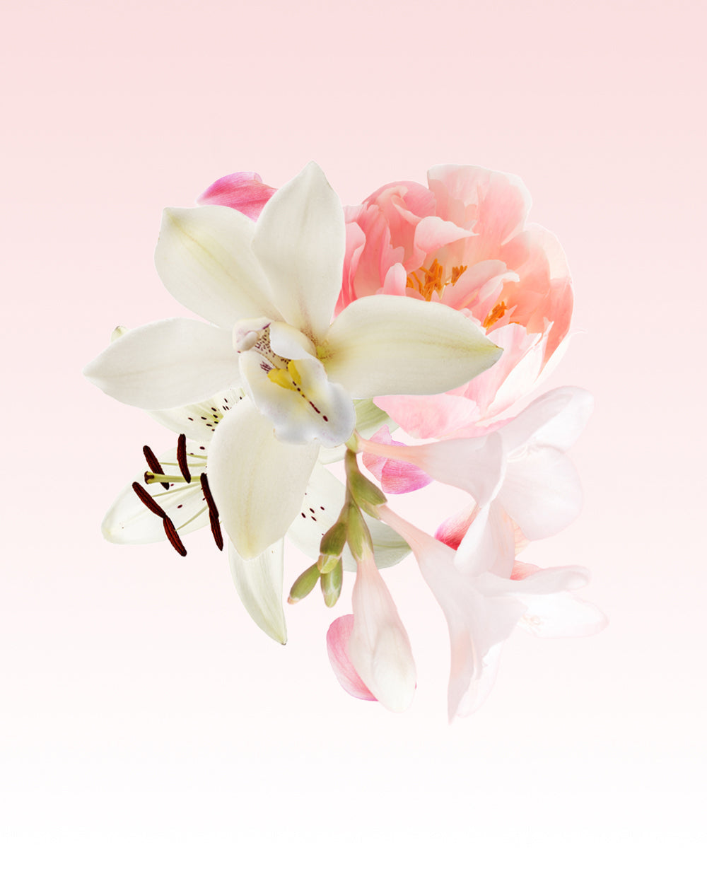 Glasshouse Travel Eau De Parfum, Forever Florence