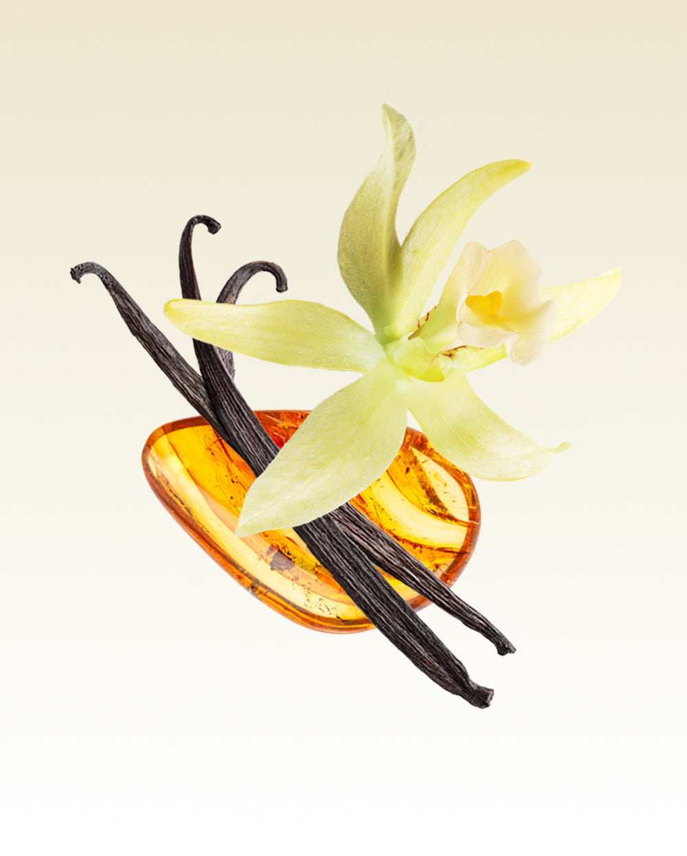 Glasshouse Hand Cream, Kyoto in Bloom