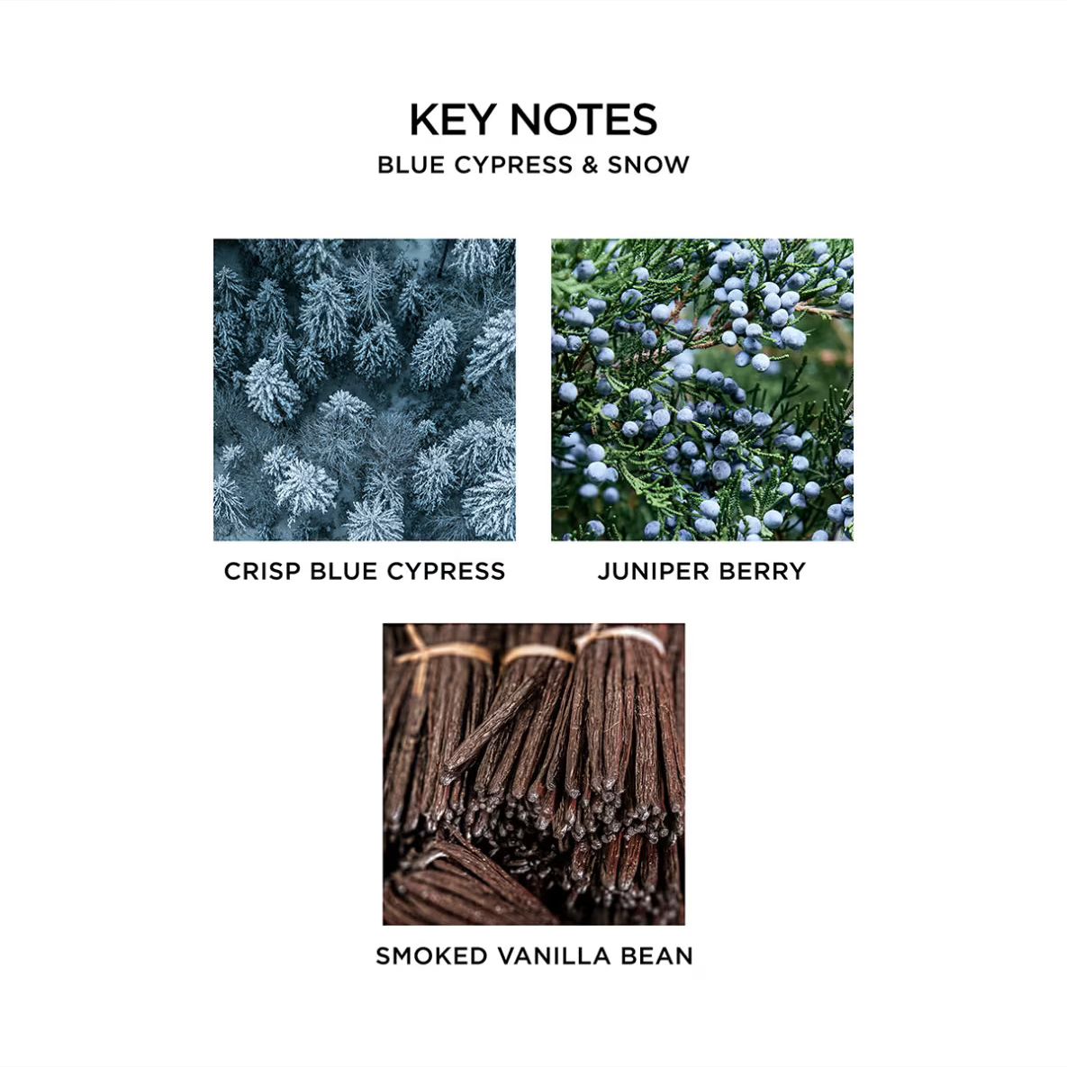 Nest New York Blue Cypress & Snow Classic Candle