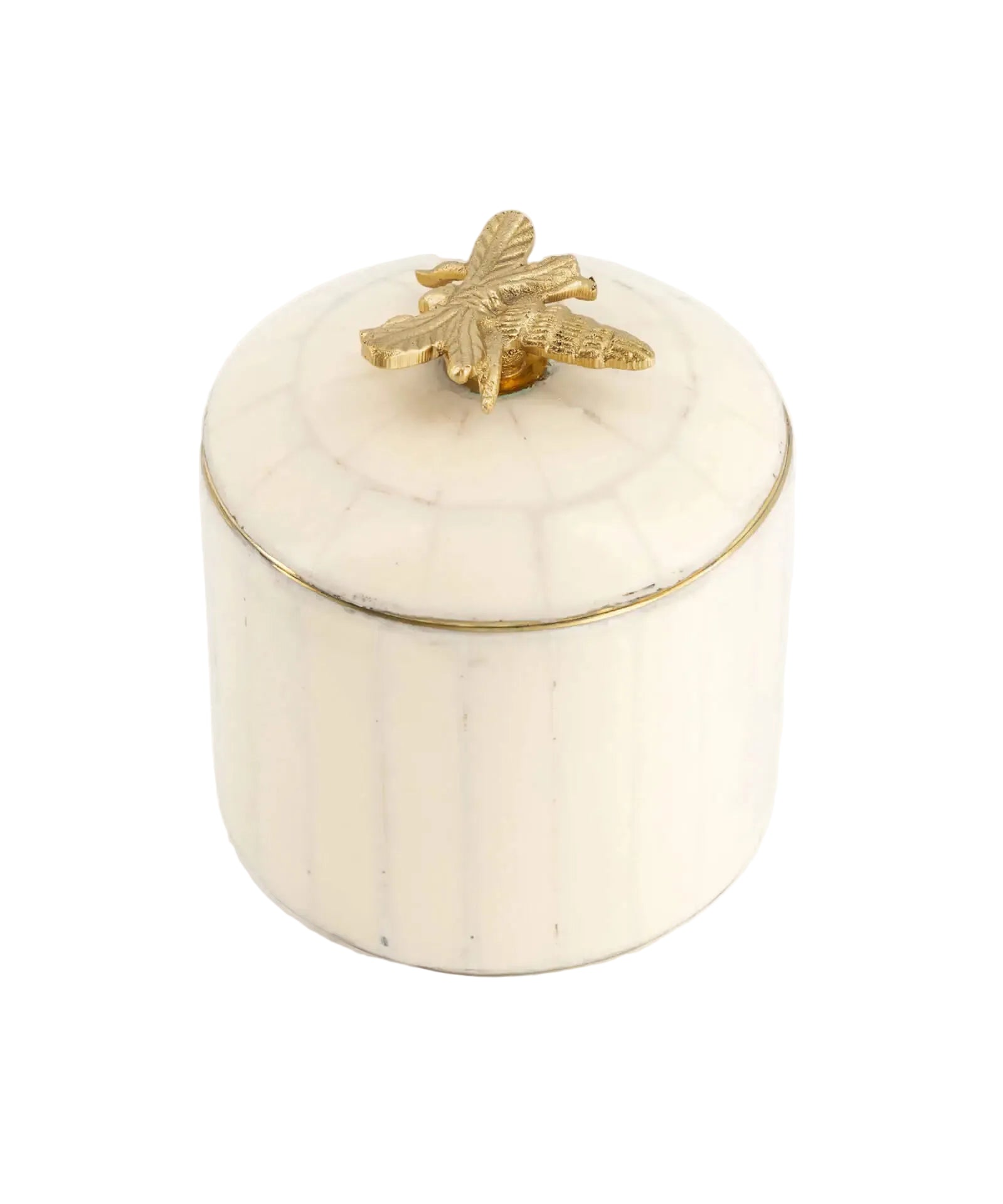 Queen Bee Circus Box, Large