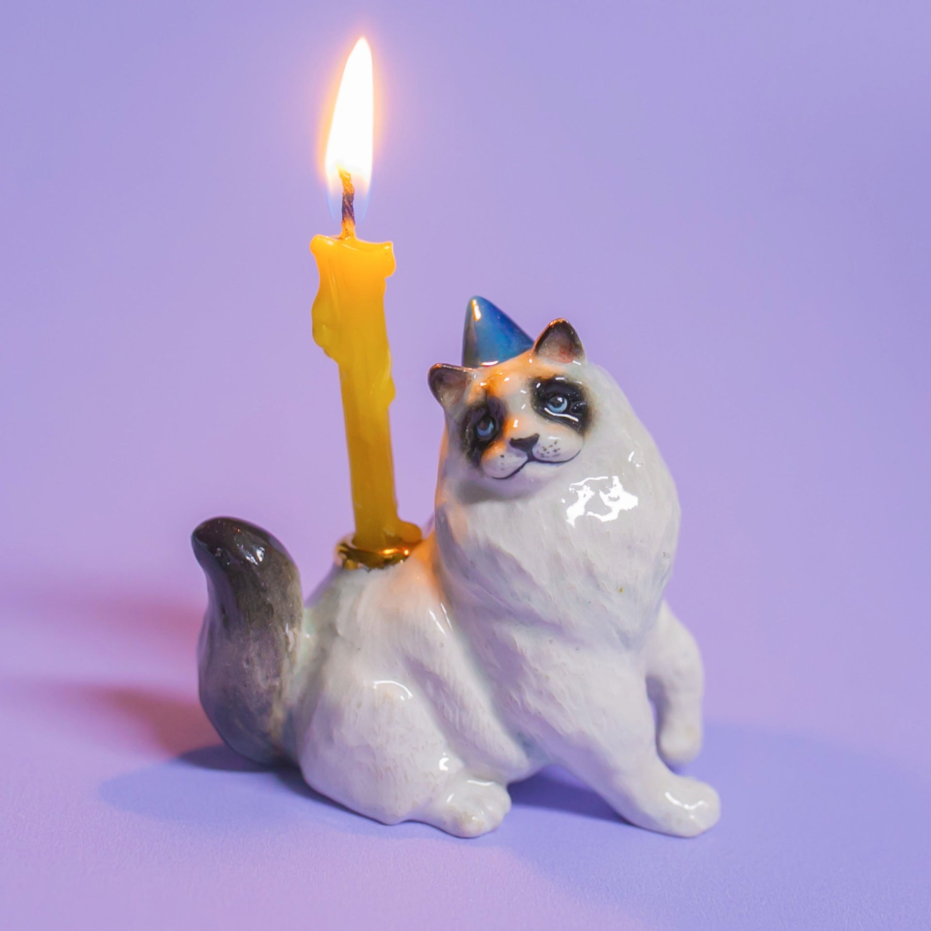Ragdoll Cat Cake Topper