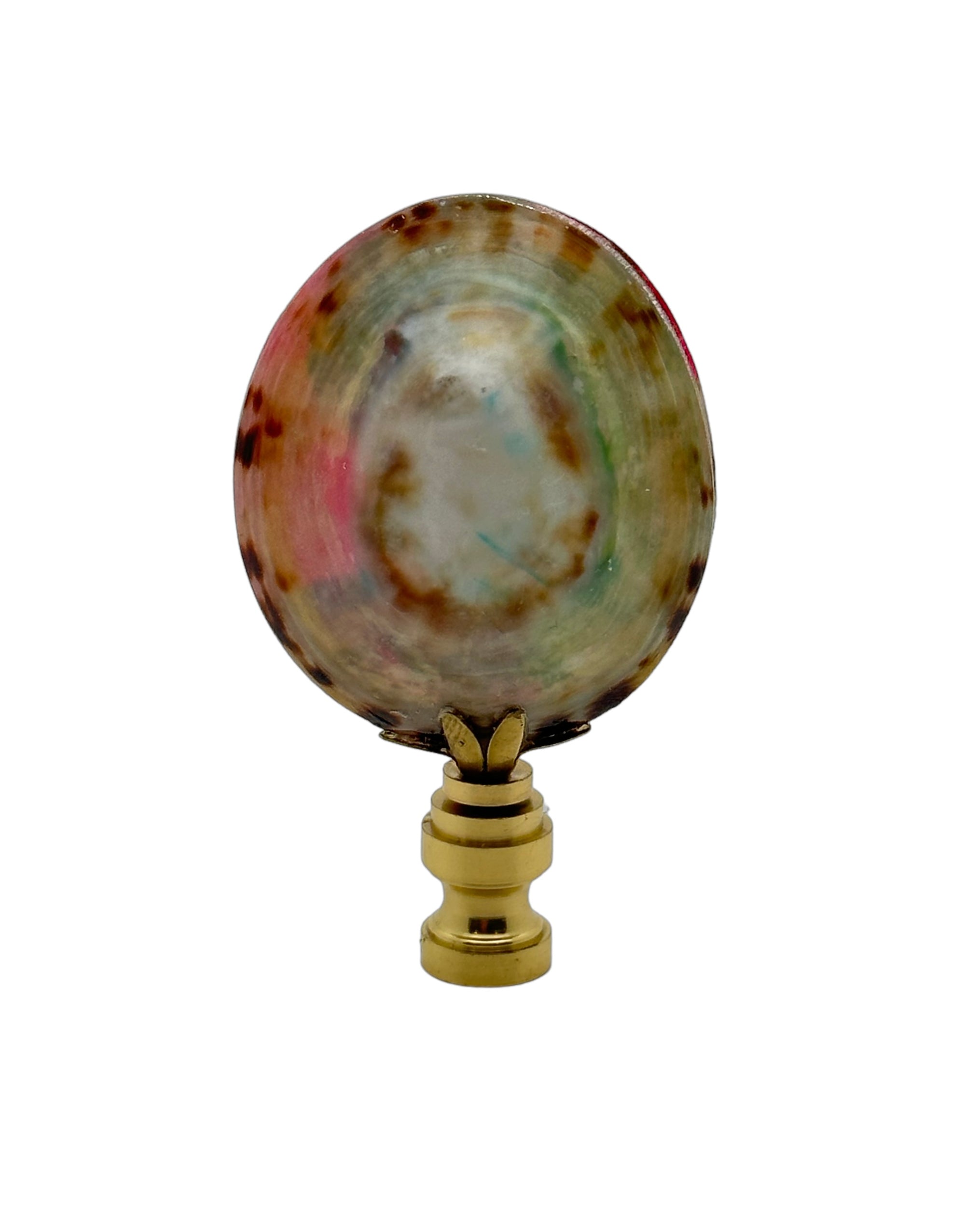 Limpet Shell Finial