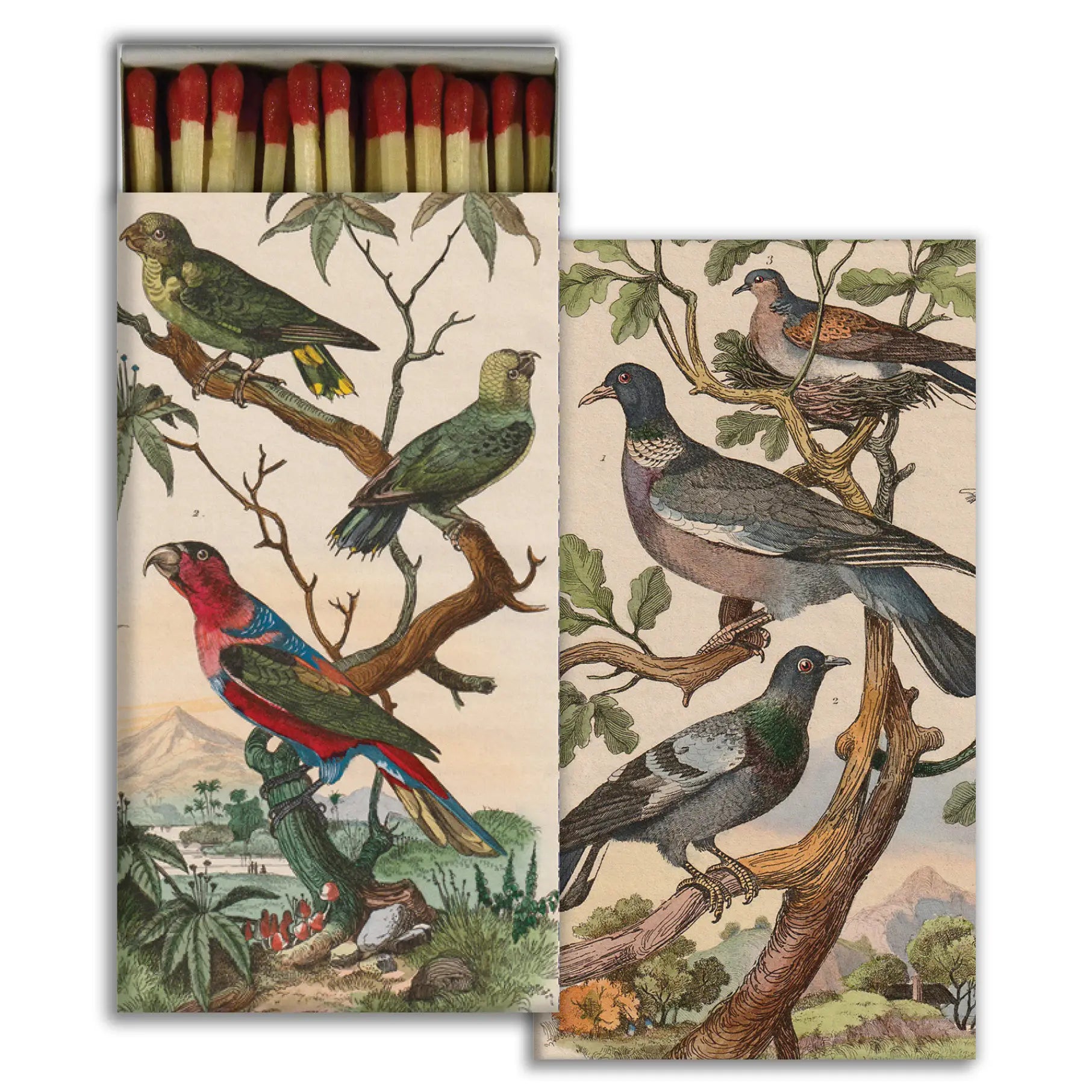 Perched Bird Decorative Matches 